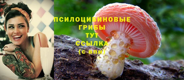 стафф Алзамай