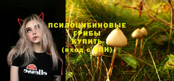 стафф Алзамай