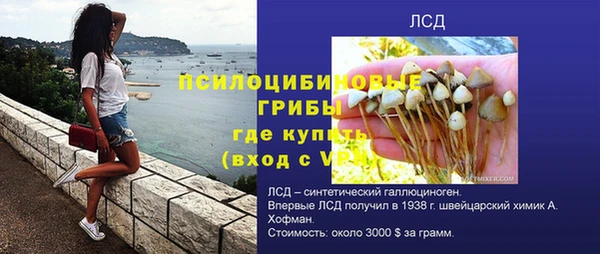 стафф Алзамай