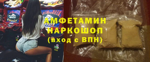 стафф Алзамай