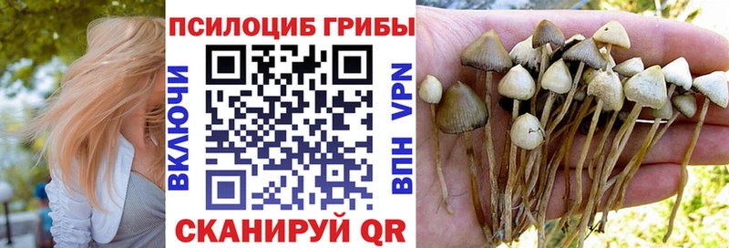 Псилоцибиновые грибы мухоморы  ссылка на мегу как зайти  Топки 